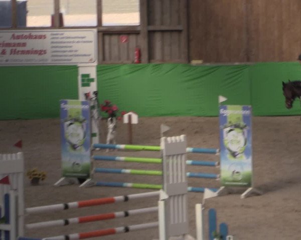 Reitturnier Krumke 2022