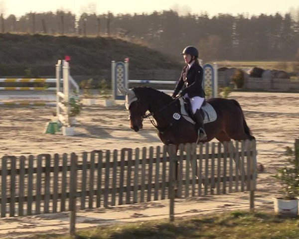 Reitturnier Schülp / Rendsburg 2022