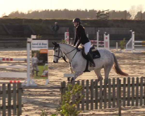 Reitturnier Schülp / Rendsburg 2022