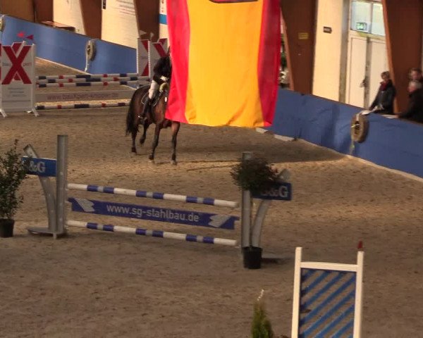 Reitturnier Sögel 2022