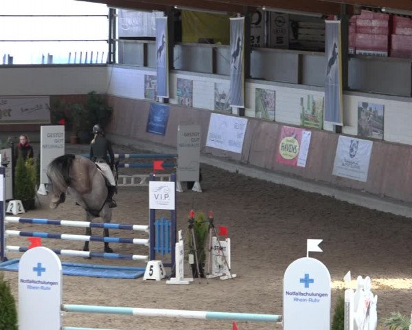 Reitturnier Grevenbroich - Gut Neuhaus 2022
