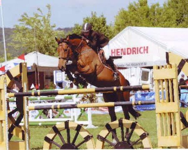 broodmare Lacanda 2 (Holsteiner, 1996, from Calando I)