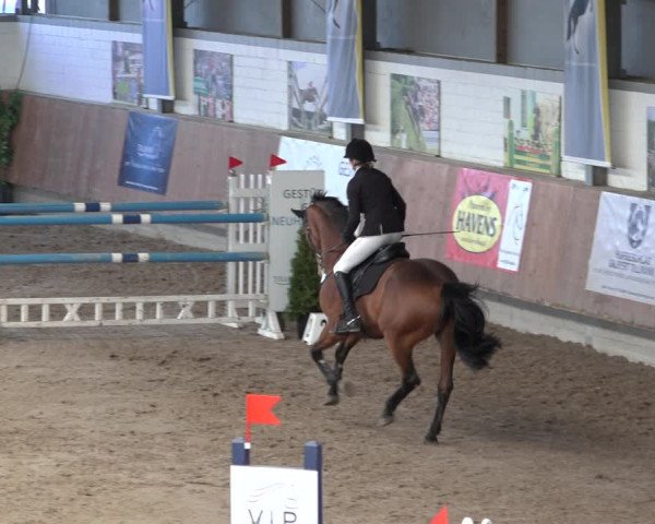 Reitturnier Grevenbroich - Gut Neuhaus 2022