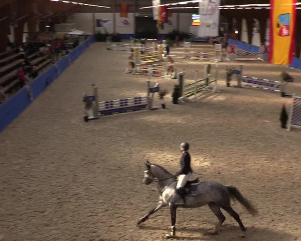 Reitturnier Sögel 2022
