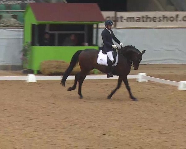 Reitturnier Kreuth/Opf. 2022