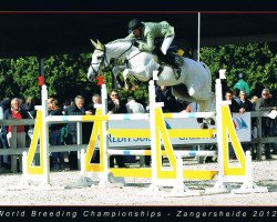 Springpferd Check Picobello Z (Zangersheide Reitpferd, 2006, von VDL Cardento 933)