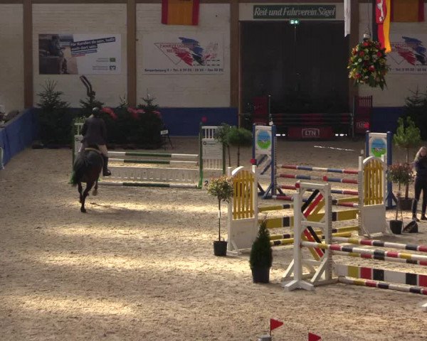 Reitturnier Sögel 2022