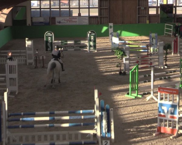 Reitturnier Krumke 2022