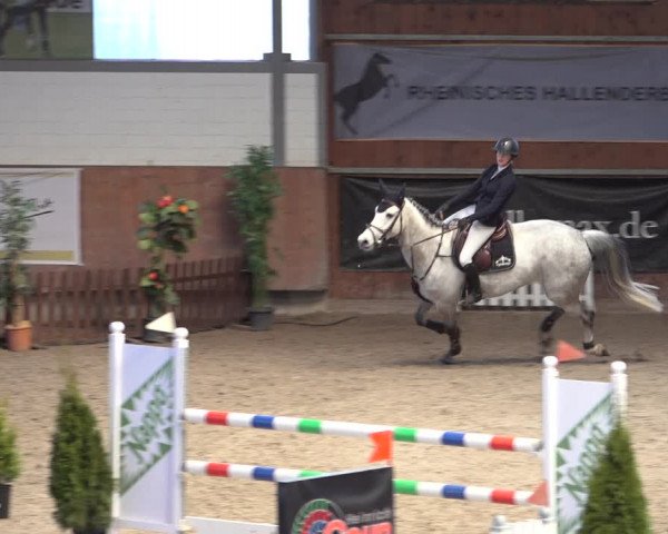 Reitturnier Grevenbroich - Gut Neuhaus 2022
