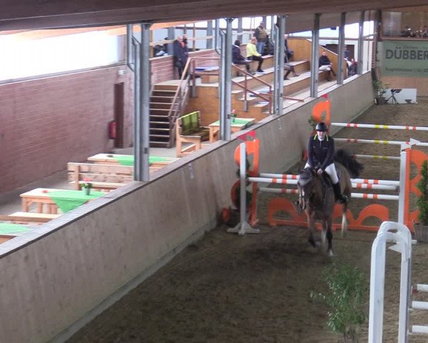 Reitturnier Borgholzhausen-Westbarthausen 2022