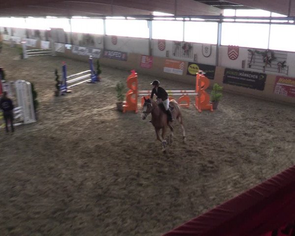 Reitturnier Borgholzhausen-Westbarthausen 2022