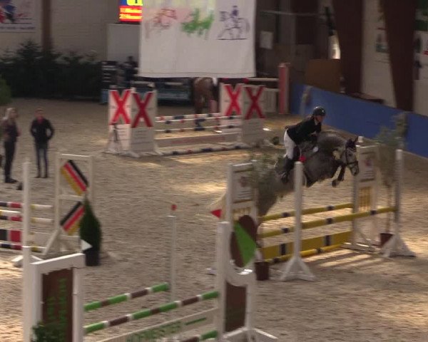 Reitturnier Sögel 2022