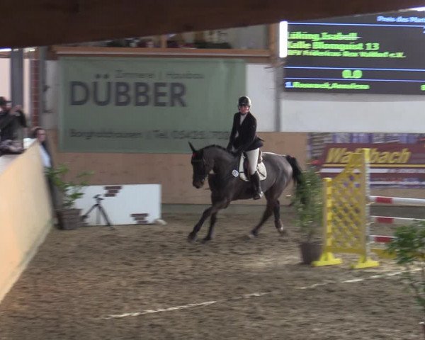 Reitturnier Borgholzhausen-Westbarthausen 2022
