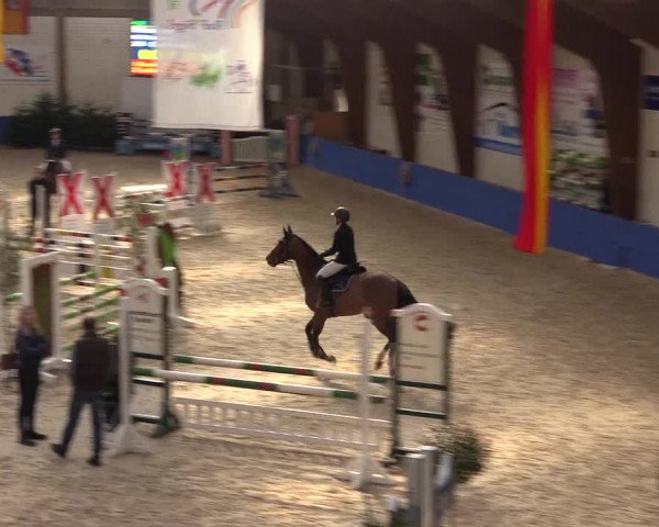 Reitturnier Sögel 2022