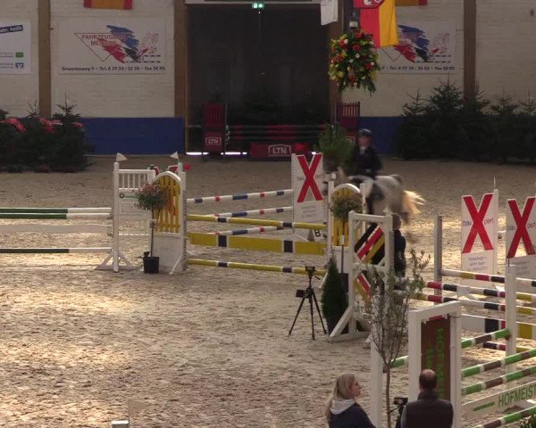 Reitturnier Sögel 2022