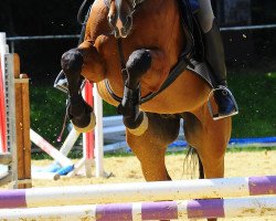 jumper Raibach BE (Rhinelander, 2004, from Röwer BE)