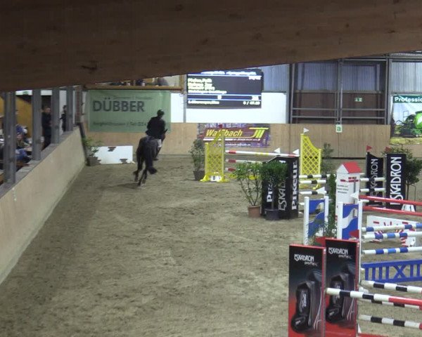 Reitturnier Borgholzhausen-Westbarthausen 2022