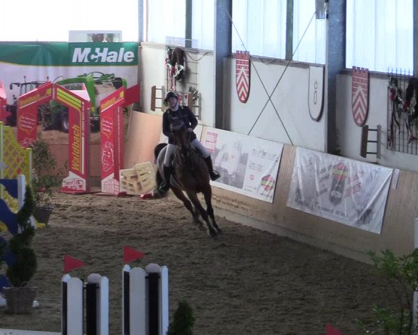 Reitturnier Borgholzhausen-Westbarthausen 2022