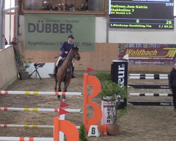 Reitturnier Borgholzhausen-Westbarthausen 2022