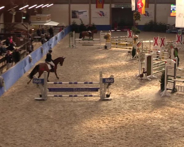 Reitturnier Sögel 2022