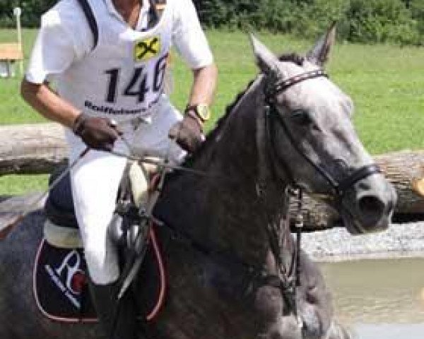 jumper Kilnaboy Buffet (Irish Sport Horse, 2008, from French Buffet xx)