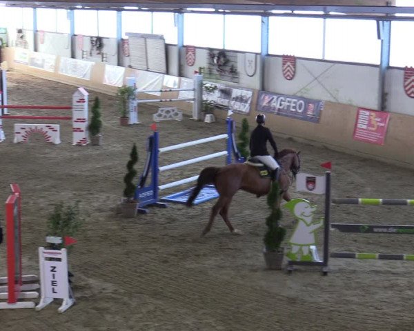 Reitturnier Borgholzhausen-Westbarthausen 2022