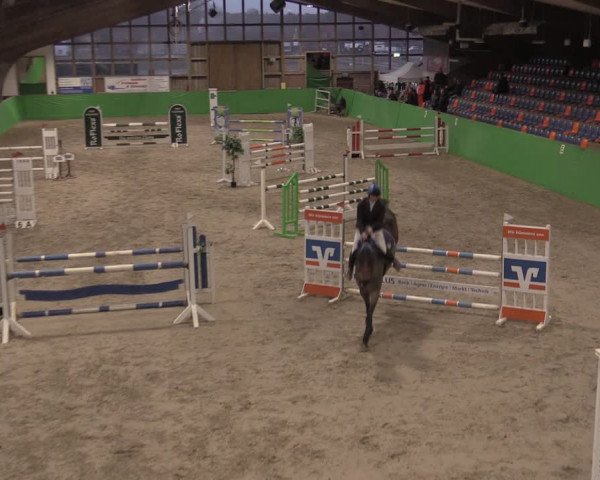 Reitturnier Krumke 2022