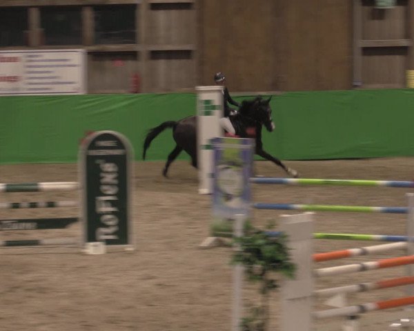 Reitturnier Krumke 2022