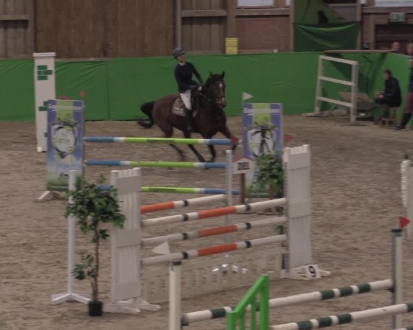 Reitturnier Krumke 2022