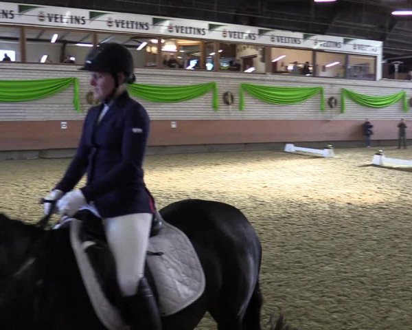 Reitturnier Hellefeld 2022