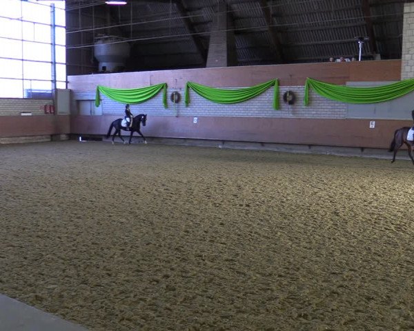 Reitturnier Hellefeld 2022