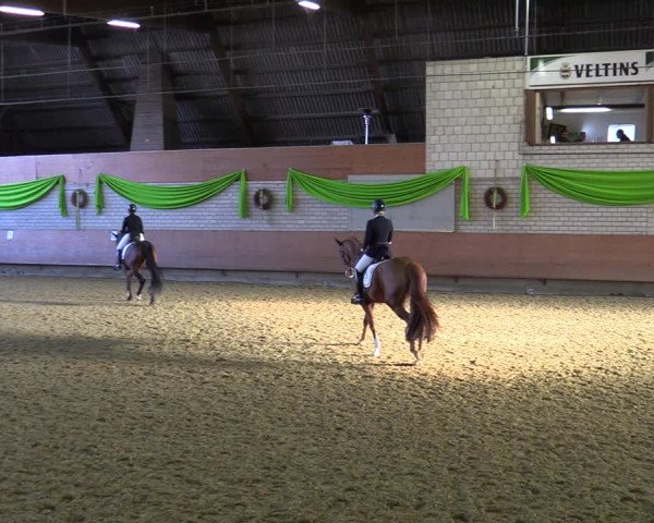 Reitturnier Hellefeld 2022
