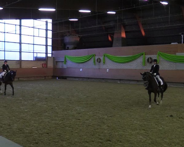 Reitturnier Hellefeld 2022