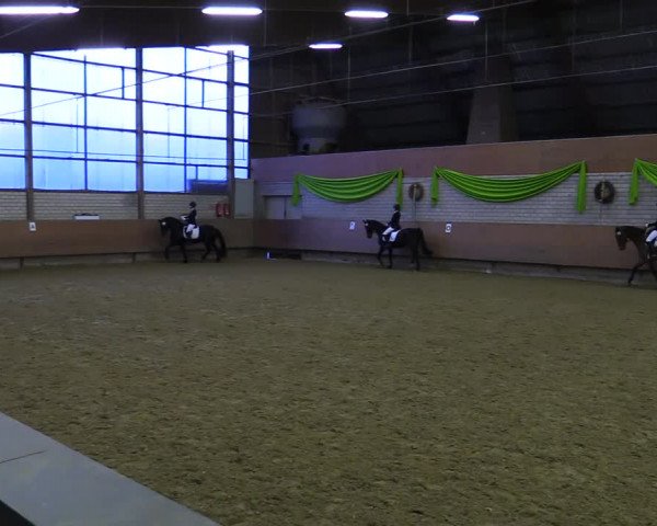 Reitturnier Hellefeld 2022