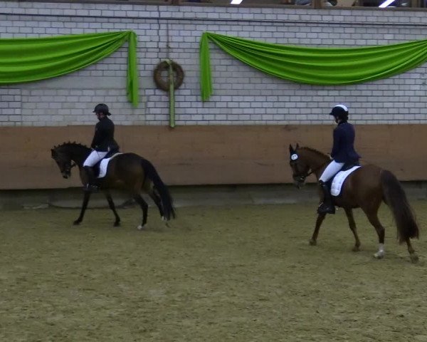 Reitturnier Hellefeld 2022