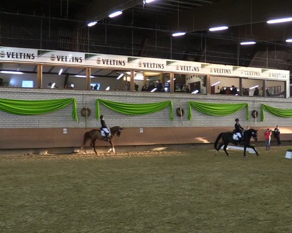 Reitturnier Hellefeld 2022