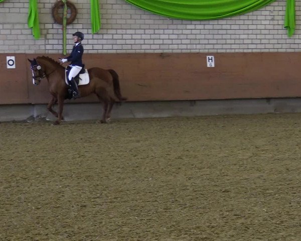 Reitturnier Hellefeld 2022