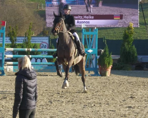 Reitturnier Lindlar-Süttenbach 2022