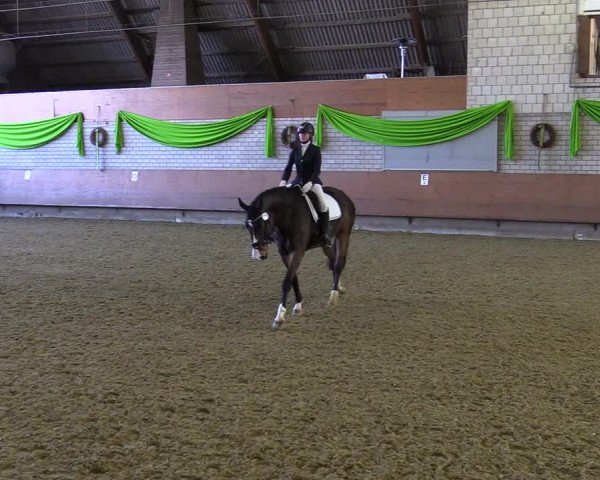 Reitturnier Hellefeld 2022