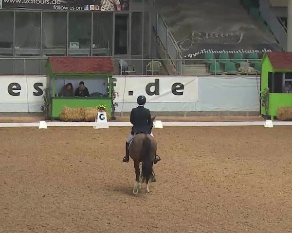 Reitturnier Kreuth/Opf. 2022