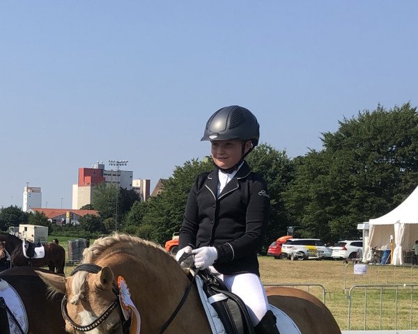 dressage horse My little Dream (German Riding Pony, 2012, from FS Mr. Right)