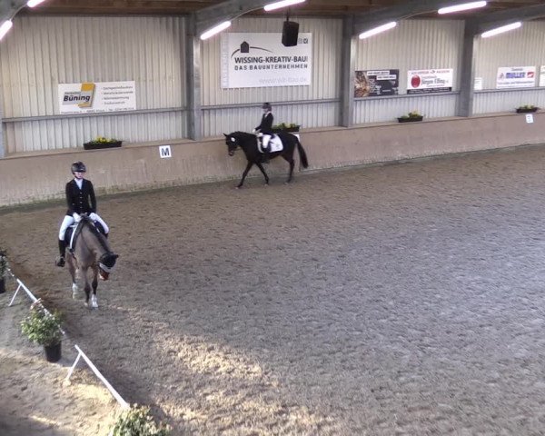 Reitturnier Ahaus 2022