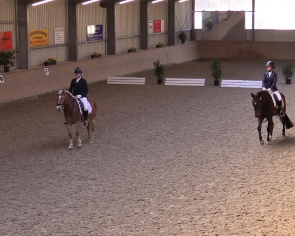 Reitturnier Ahaus 2022