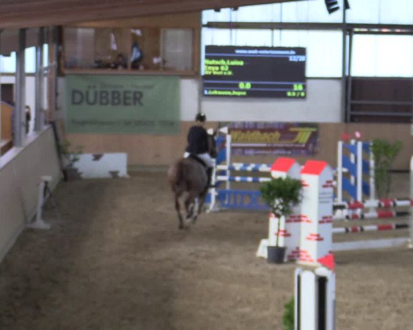 Reitturnier Borgholzhausen-Westbarthausen 2022