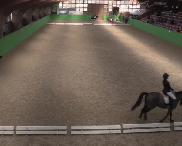Reitturnier Krumke 2022