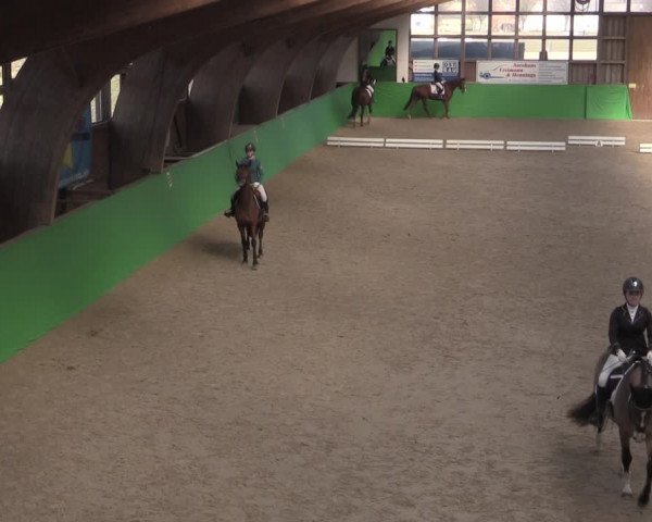 Reitturnier Krumke 2022