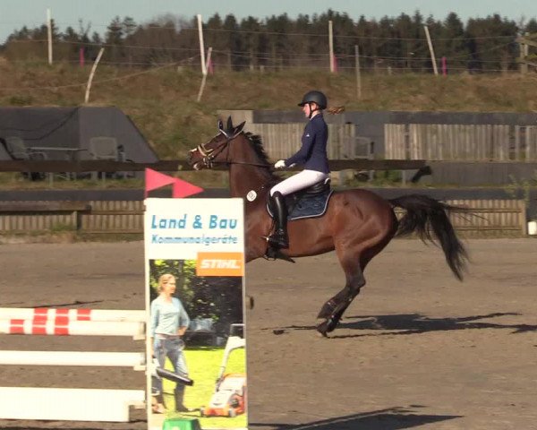 Reitturnier Schülp / Rendsburg 2022