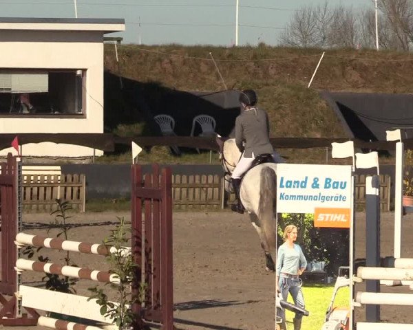 Reitturnier Schülp / Rendsburg 2022