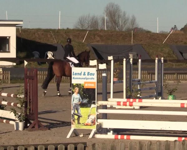 Reitturnier Schülp / Rendsburg 2022