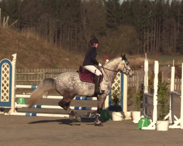 Reitturnier Schülp / Rendsburg 2022